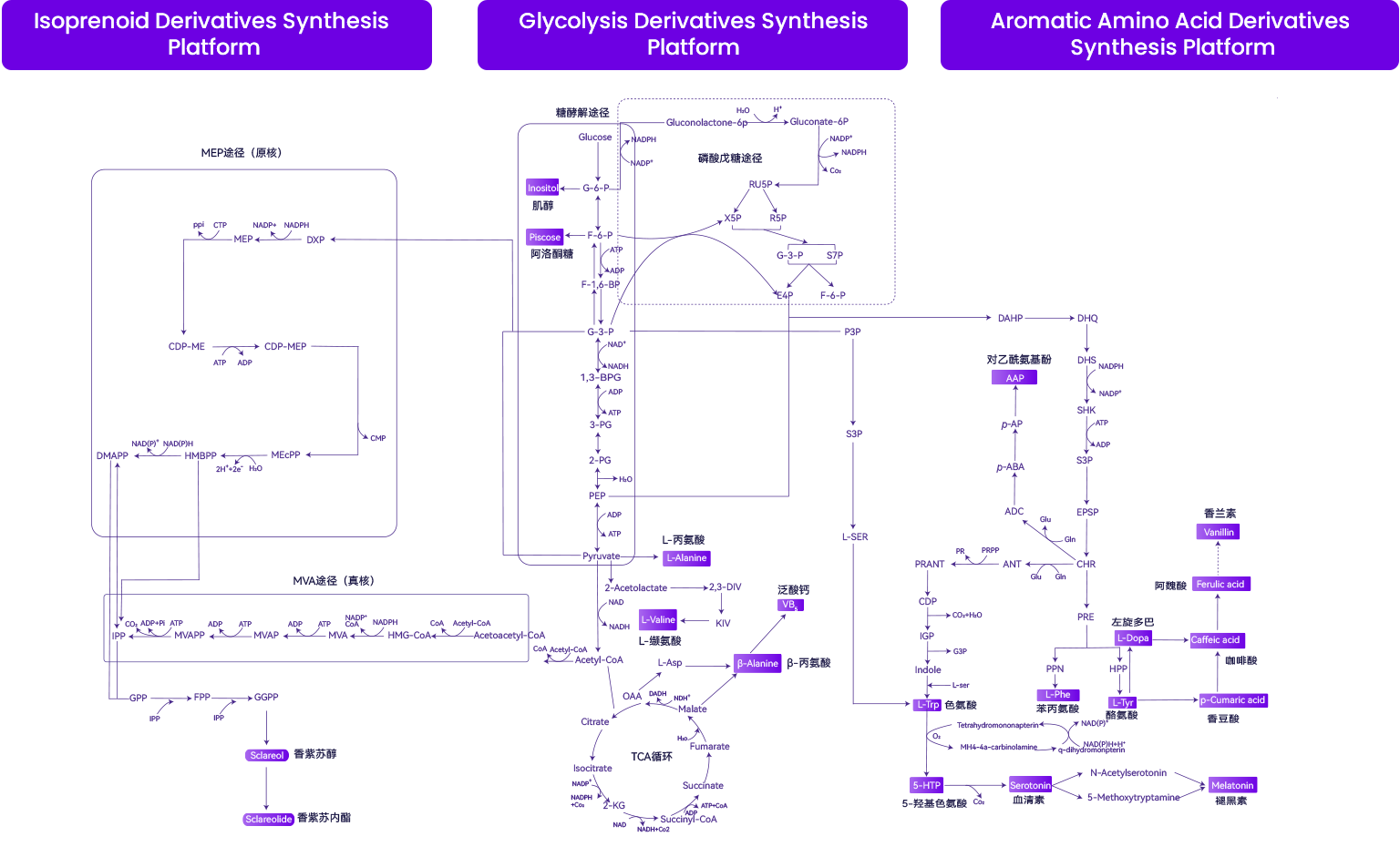 Three Metabolic Derivative Platforms