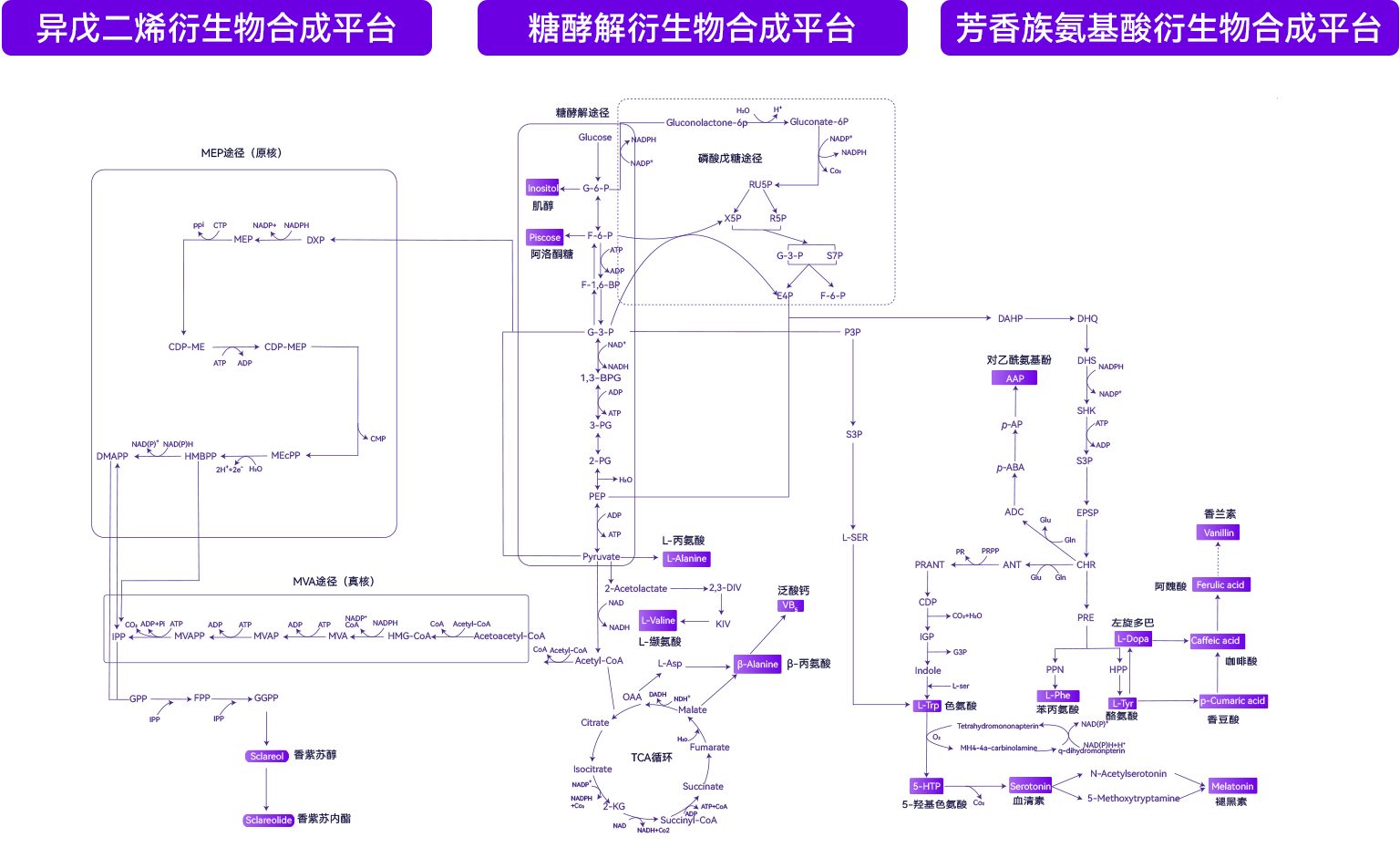 三大衍生物平台